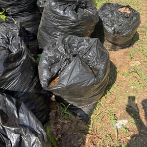 Junk Removal by Murillo Services reviewed on June 16, 2025