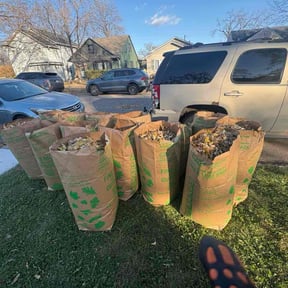 Leaf Removal by Lyons Pride Lawn Service reviewed on October 20, 2025