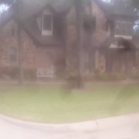 Bush Trimming by Tovar Landscaping reviewed on August 16, 2025