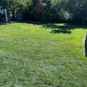yard service by Trip reviewed on May 7, 2024