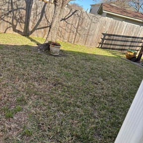 Leaf Removal by Signature Lawn Care LLC. reviewed on August 21, 2025