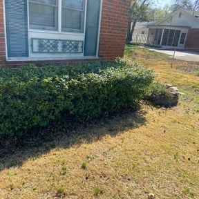Bush Trimming by Krenik lawn services reviewed on August 14, 2025