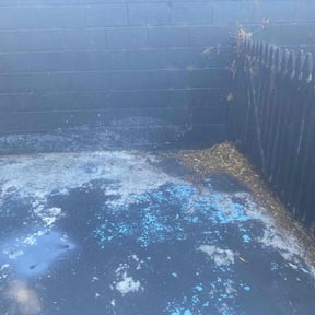 Leaf Removal by MVP Lawn &amp; Landscaping reviewed on September 27, 2025