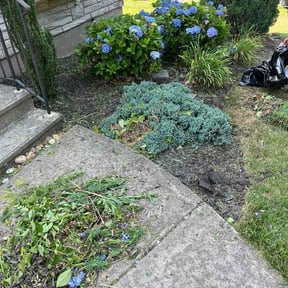 Flower Bed Weeding by Grass Goals LLC reviewed on July 10, 2026