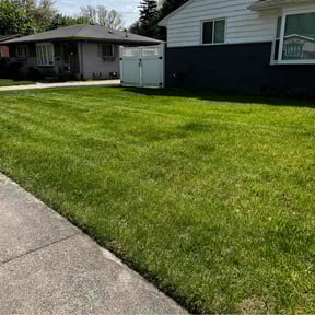 grass cutting by BIG D &amp; 3 LAWNCARE AND POOL SERVICES reviewed on August 20, 2025