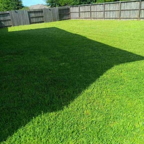 gardening service by Haygood Cleaning, Painting & Lawn Care LLC reviewed on August 19, 2025