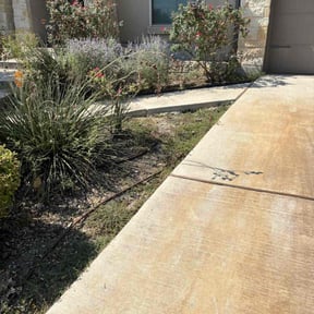 Bush Trimming by Willie's Mobile Lawn Services reviewed on November 24, 2025