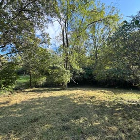 lawn care services by TruGreen LawnCare reviewed on June 16, 2024