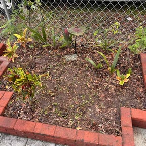 Flower Bed Weeding by GWP DESIGNS LLC reviewed on November 10, 2025