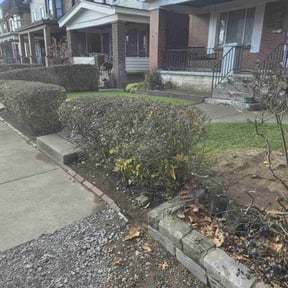 Bush Trimming by BRDOC - Lawn Care reviewed on April 25, 2024