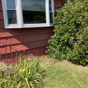 Bush Trimming by Roberto Pena reviewed on October 18, 2025