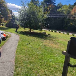 Leaf Removal by ZKZ Landscape &amp; Design reviewed on November 10, 2025