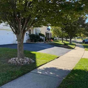 Flower Bed Weeding by Charleston Green Team LLC. reviewed on November 24, 2025