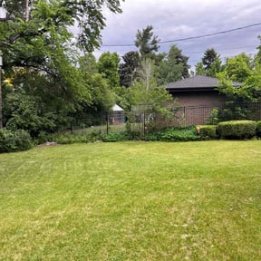 Bush Trimming by Loop's Landscaping reviewed on August 15, 2025