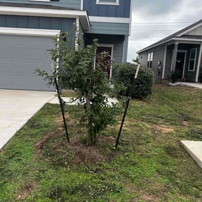 Bush Trimming by Cardinal Curb Appeal reviewed on August 15, 2025