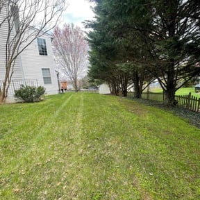 grass maintenance by BPR Home Solutions LLC reviewed on May 8, 2025