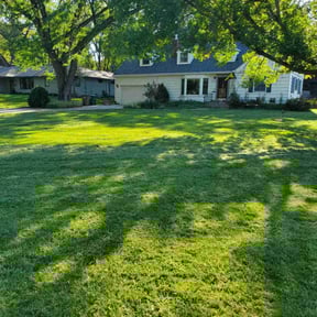 yard service by Green Clips Lawn Care LLC reviewed on August 18, 2025