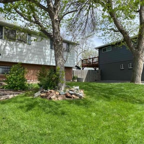 yard maintenance by Big Phan LLC reviewed on November 22, 2025