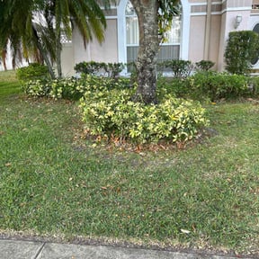 Bush Trimming by Retana Lawnscaping reviewed on April 27, 2024