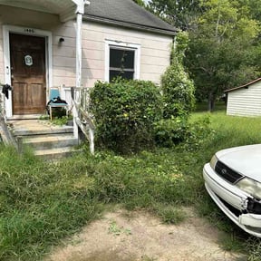 Bush Trimming by Grimes Green Care reviewed on September 12, 2026