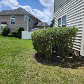 Bush Trimming by Heavenly Landscapes reviewed on July 14, 2020