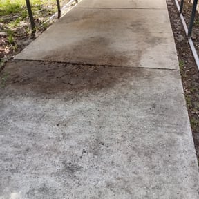 Leaf Removal by chameleon lawn care reviewed on September 30, 2025