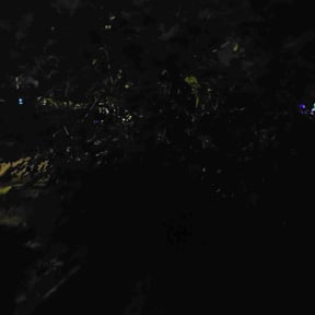 Bush Trimming by MTeam reviewed on December 15, 2025