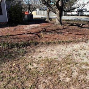 Leaf Removal by SOCIFY LLC reviewed on April 1, 2026