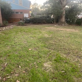 Leaf Removal by Grasschasers landscaping llc reviewed on September 11, 2025