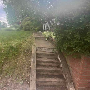 Leaf Removal by Middleton Home &amp; Environment Revival LLC reviewed on June 7, 2026
