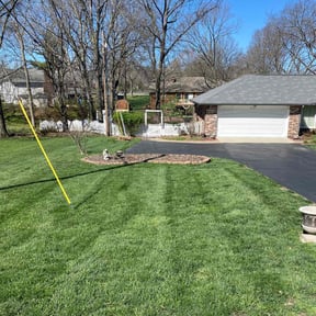 yard work by ELM Lawn Care reviewed on December 16, 2025