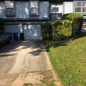 Bush Trimming by Hobson Sanitation & Cleaning Service reviewed on August 17, 2025