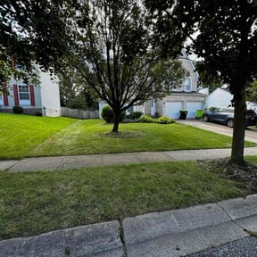 landscaping services by Andre Lawns reviewed on November 15, 2024