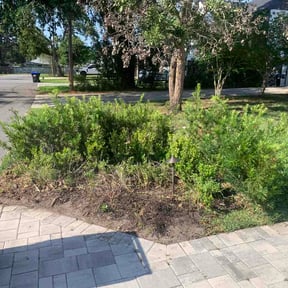 Flower Bed Weeding by Villagran reviewed on May 21, 2026