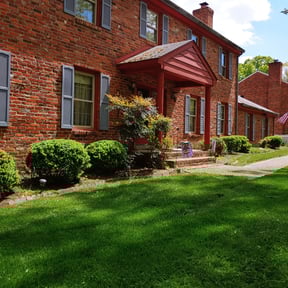 Bush Trimming by TLC-TOTAL Landscaping and Cleaning reviewed on August 14, 2025