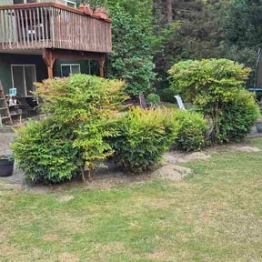 Bush Trimming by Luxury Lawncare and Property Management reviewed on August 6, 2026
