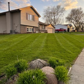 yard service by On The Green reviewed on August 16, 2025