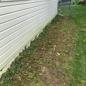Bush Trimming by Holmes General Services reviewed on August 16, 2025