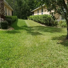 Bush Trimming by ONIT Lawn Care reviewed on August 20, 2025