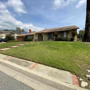 yard service by SolidDustLawns LLC reviewed on August 21, 2025