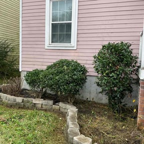 Bush Trimming by ChevysLandScaping reviewed on January 8, 2026