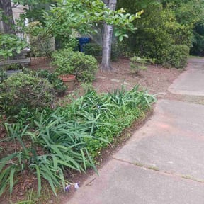 Bush Trimming by Supreme Home Services reviewed on August 20, 2025