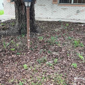 Leaf Removal by Phillip's Lawn care reviewed on July 23, 2026