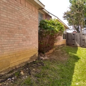 Bush Trimming by Green World Lawn Care reviewed on May 6, 2024