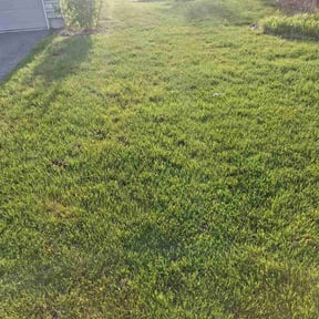 Flower Bed Weeding by J&amp;k reviewed on April 25, 2026