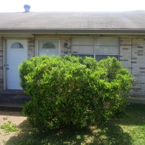 Bush Trimming by Zena's Lawn Service reviewed on August 21, 2025