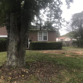 Bush Trimming by Parrish Lawn Care reviewed on August 17, 2025