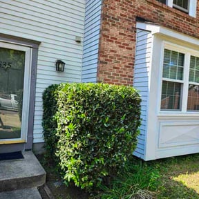 Bush Trimming by NRB Landscape Services reviewed on November 20, 2025