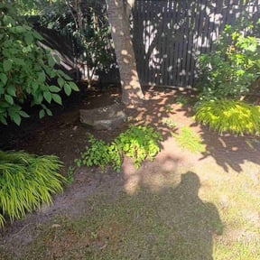 Leaf Removal by Perea Lawn &amp; Sprinkler Service reviewed on September 21, 2025