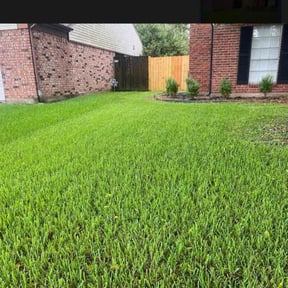 yard service by Get er Done Grass Cutting reviewed on December 3, 2025
